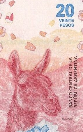 ARGENTINA 20 PESOS e1651894438122