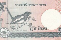 C 4234 BANGLADESH 2 TAKA FE