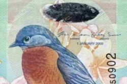 C 2351 Bermuda 2 Dollars Fe