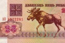 C 7209 BIELORUSSIA 25 RUBLEI FE