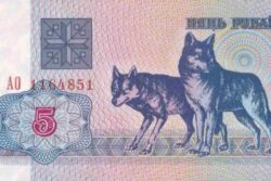 C 7205 BIELORUSSIA 5 RUBLEI FE