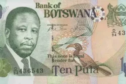 Botswana 10 Pula