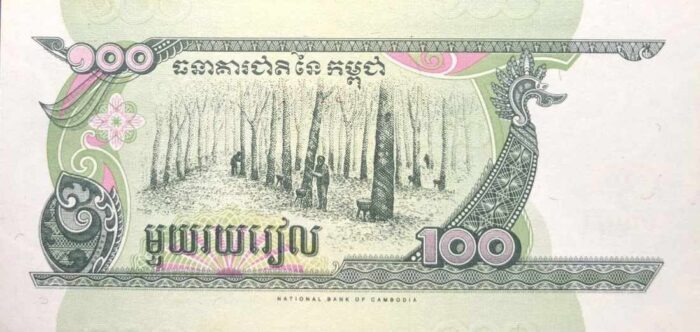 CAMBOJA 100V