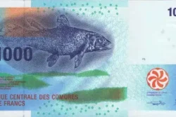 Comores 1.000 Francos