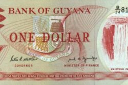 C 2901 GUIANA 1 DOLLAR FE