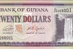 C 2904 GUIANA 20 DOLLARS FE