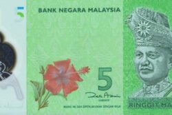 C 5672 MALÁSIA 5 RINGGIT ( POLÍMERO ) FE