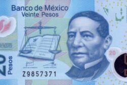 C 3280 MÉXICO 20 PESOS ( POLÍMERO ) FE