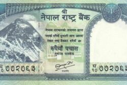 C 5853 NEPAL 50 RUPIAS FE