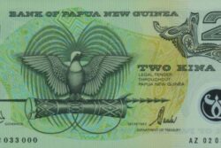 C 9782 PAPUA NOVA GUINÉ 2 KINA ( POLÍMERO ) FE
