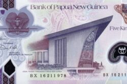 C 9789 PAPUA NOVA GUINÉ 5 KINA ( POLÍMERO ) FE  ( TAMANHO REDUZIDO )