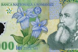 C 9085 ROMÊNIA 10.000 LEI ( POLÍMERO ) FE