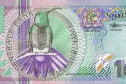 C 3602 SURINAME 10 GULDEN FE