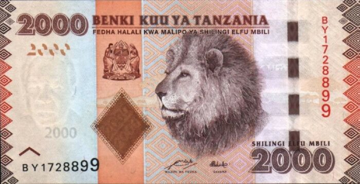 TANZANIA2000