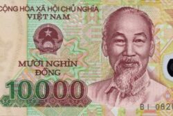 C 6535 VIETNÃ 10.000 DONG ( POLÍMERO ) FE