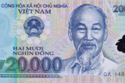 C 6540 VIETNÃ 20.000 DONG ( POLÍMERO ) FE