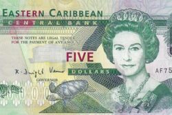 C 2491 CARIBE 5 DOLLARS FE