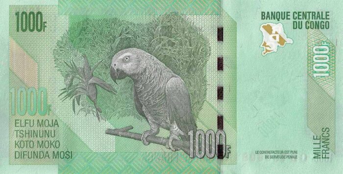 CONGO 1.000V