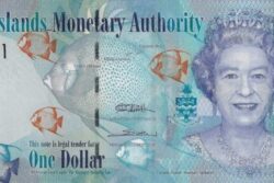 C 3051 ILHAS CAYMAN 1 DOLLAR FE