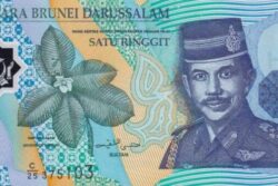C 4331 BRUNEI 1 RINGGIT ( POLÍMERO ) FE
