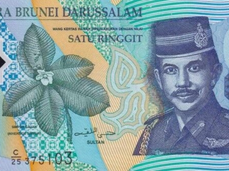 BRUNEI 1