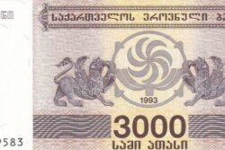 C 7853 GEÓRGIA 3.000 LARIS FE