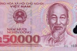 C 6545 VIETNÃ 50.000 DONG ( POLÍMERO ) FE