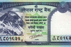 C 5855 NEPAL 50 RUPIAS FE
