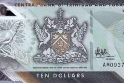 C 3673 TRINIDAD E TOBAGO 10 DOLARS ( POLÍMERO ) FE