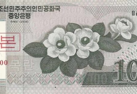 COREIA 100E