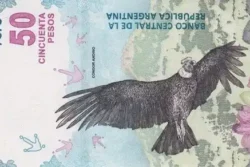Argentina 50 Pesos