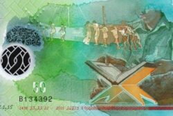 C 5070 ILHAS MALDIVAS 50 RUFIYAA ( POLÍMERO ) FE