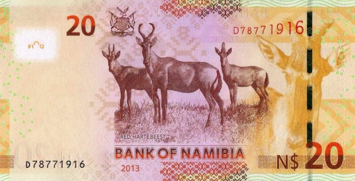 NAMIBIA 20V