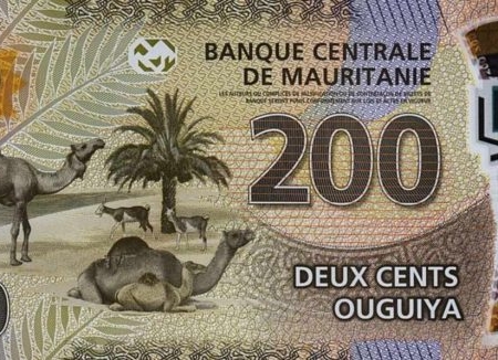 MAURITANIA 200P