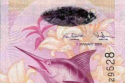 C 2355 BERMUDA 5 DOLLARS FE