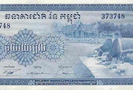 CAMBOJA 100N