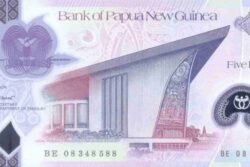 C 9788 PAPUA NOVA GUINÉ 5 KINA ( POLÍMERO ) FE