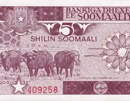 Somalia 5 Shillings