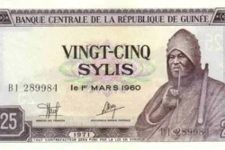 Guiné 25 Sylis