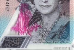 Caribe 100 Dólares ( Polímero )