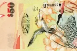 Bermuda 50 Dólares