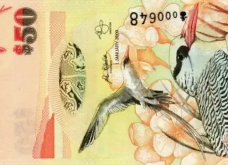 Bermuda 50 Dólares