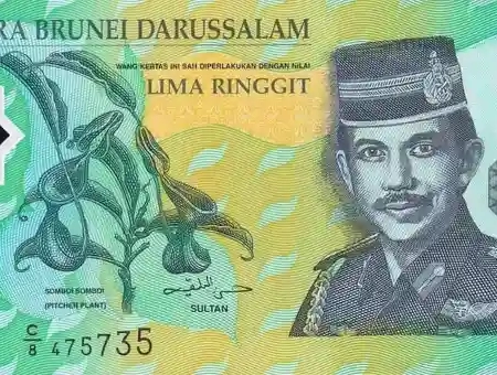 Brunei 5 Ringgit